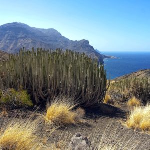 Gran Canaria