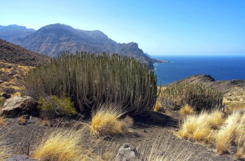 Gran Canaria