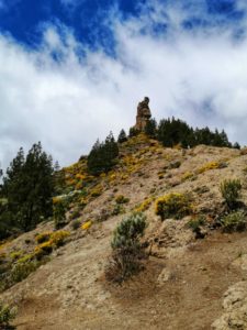 Roque Nublo