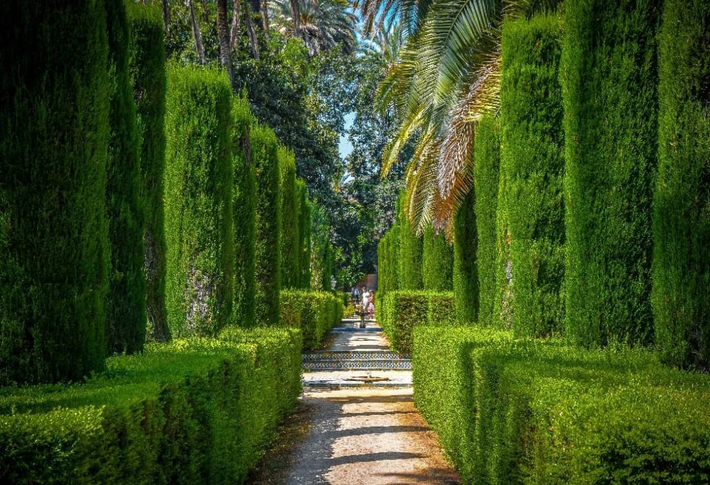 Alcazar Sevilla