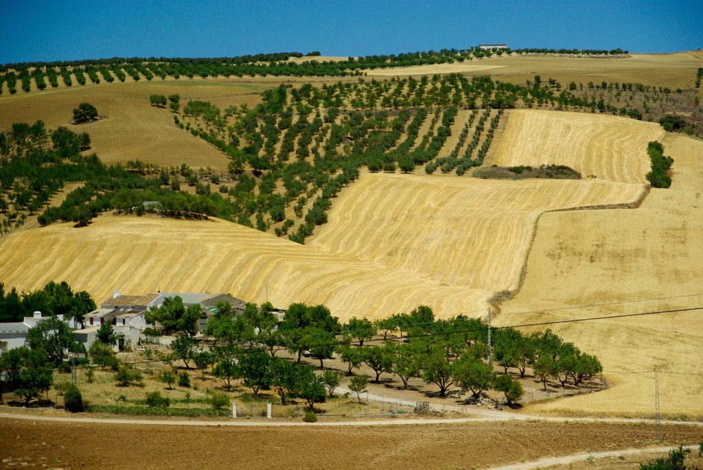 Suchá Andalusie